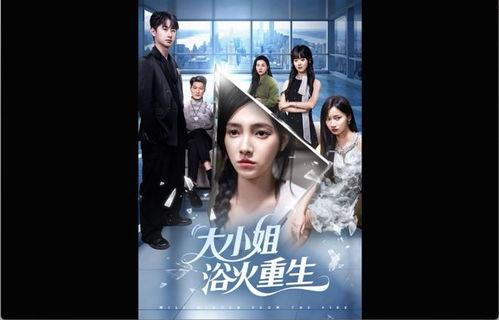 小姐完整版在线观看,一场跨越身份与欲望的华丽冒险