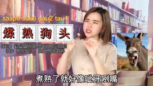 总说广东话哪个网红,揭秘广东话网红的魅力与影响力