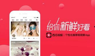 头条更换名称视频还有吗,头条新名揭晓！回顾更名背后的故事与期待