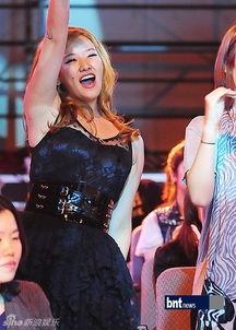 韩国明星兰,韩国娱乐圈的璀璨星辰