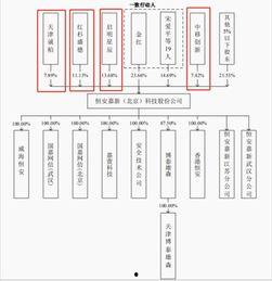 启明星辰 恒安,网络安全领域的璀璨明星