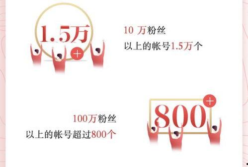 如何查看头条作者排名,掌握查看技巧，提升影响力