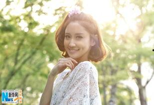 明星所属的公司,璀璨星途背后的商业帝国