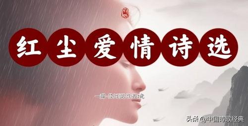 怎么拍摄头条里的诗歌,如何拍摄出引人入胜的诗歌主题摄影作品