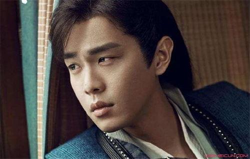 范闲的明星,娱乐圈的璀璨星辰