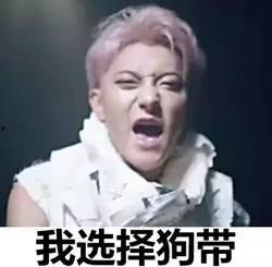 明明星表情包,趣味横生的网络文化现象