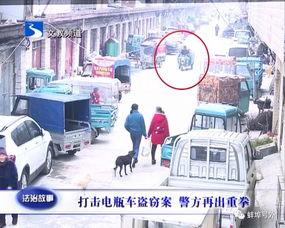 蚌埠电动车新闻头条,创新驱动，绿色出行新篇章