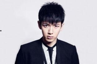 属羊的男明星有哪些,盘点属羊的璀璨男明星