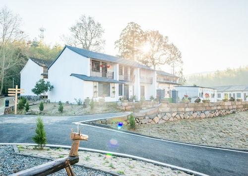 仙居明星村,探寻仙居明星村的乡村振兴奇迹