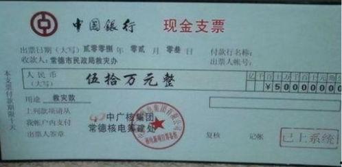 网红爸爸给的支票图片,育儿经引发网友热议