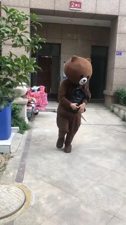 网红熊落水,网络红人安全意识需加强