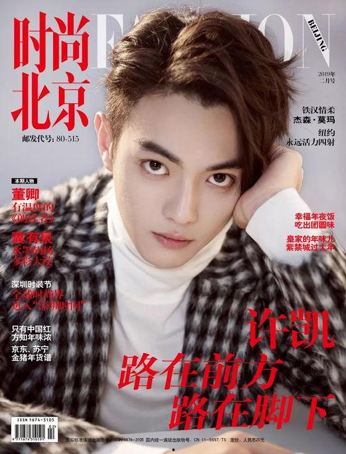 王什么tao的明星,星光璀璨的影视界新秀