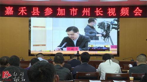 嘉禾红网刘敏波,聚焦时代脉搏，讲述嘉禾故事