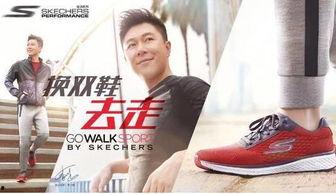 明星会穿斯凯奇