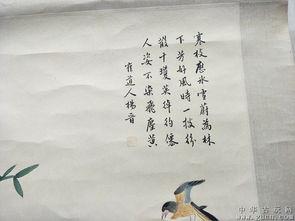 明星杨晋,星光璀璨的演艺之路