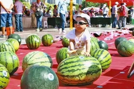 吃瓜今日大赛,全民狂欢，揭秘娱乐圈幕后风云