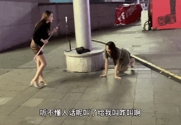 美女网红直播一条街,美女云集，魅力四射的时尚盛宴