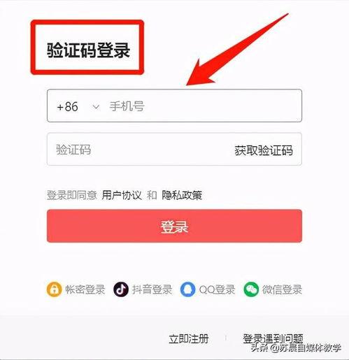 头条新手入门技巧视频,入门技巧视频精华解析